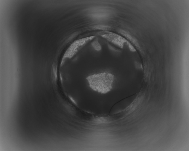 X0000100920062200807151231