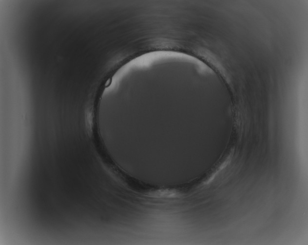 X0000100920063200807151231
