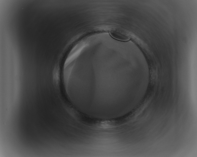 X0000100920064200807151231