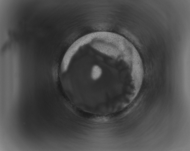 X0000100920065200807151231