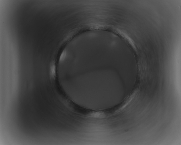 X0000100920067200807151231