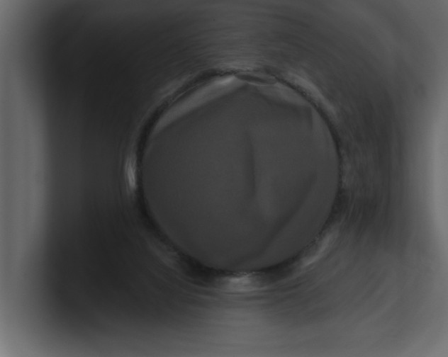 X0000100920068200807151231