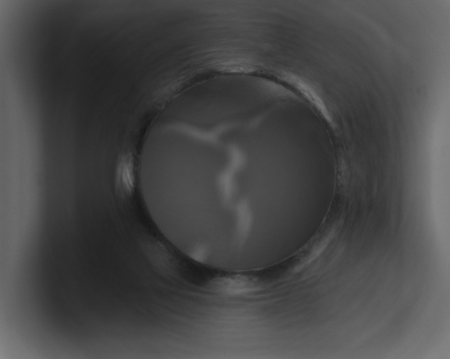 X0000100920069200807151231