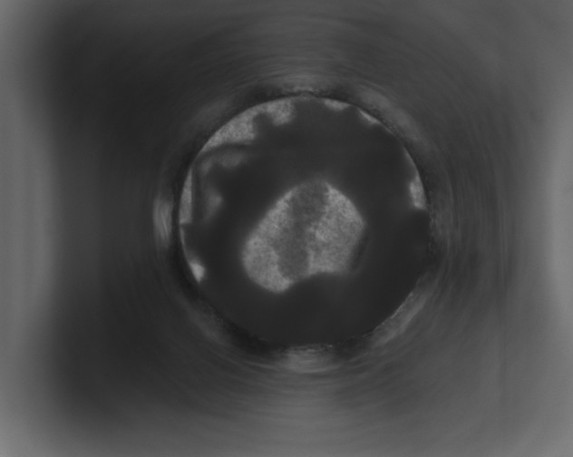 X0000100920070200807151231