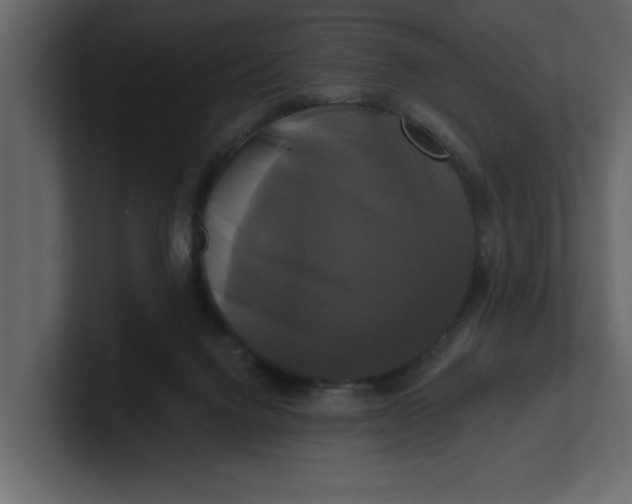 X0000100920072200807151231