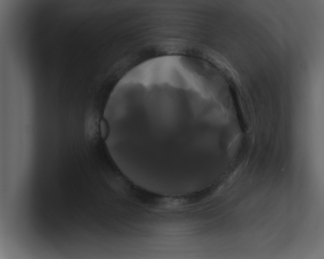 X0000100920073200807151231