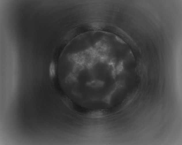 X0000100920075200807151231