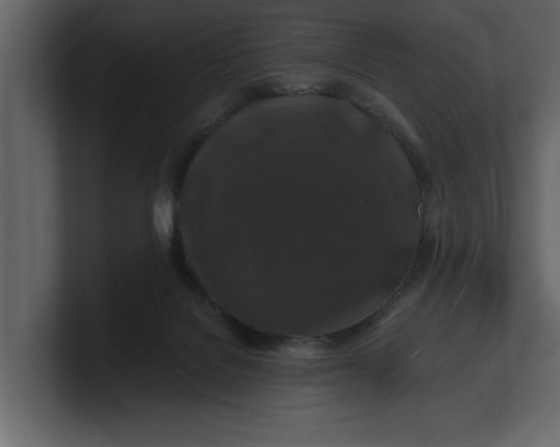 X0000100920076200807151231