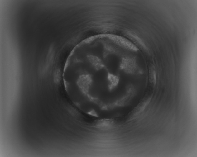 X0000100920077200807151231