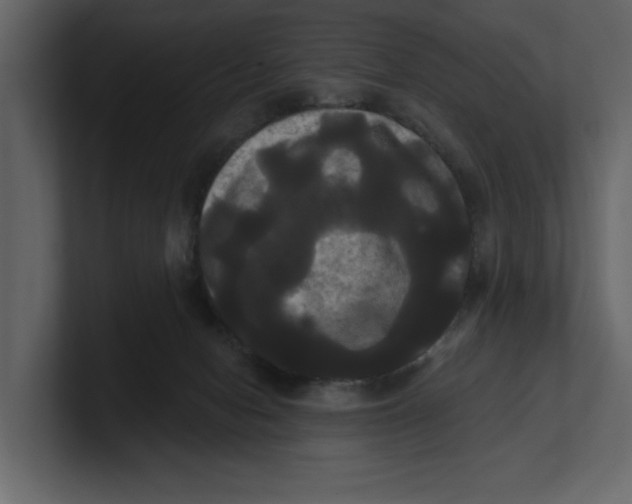 X0000100920078200807151231