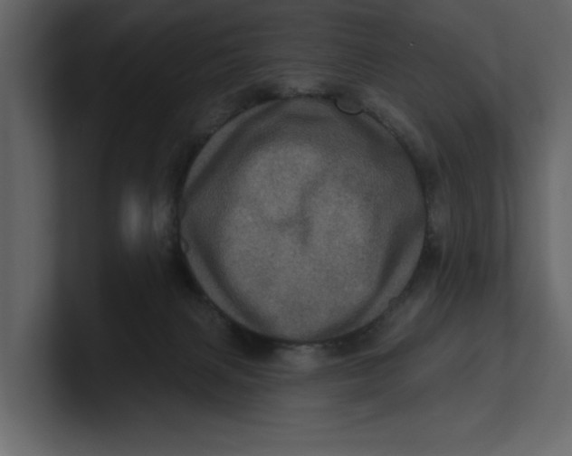 X0000100920079200807151231