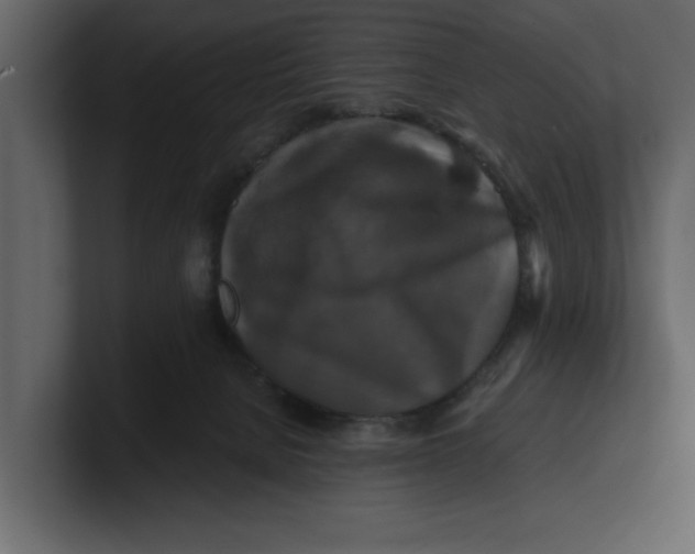 X0000100920080200807151231