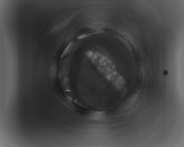 X0000100920081200807151231