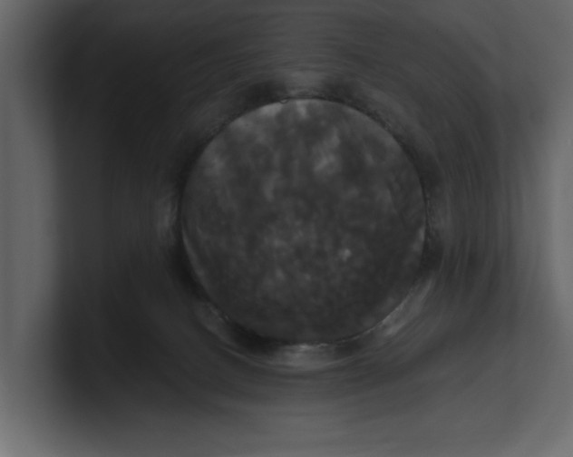 X0000100920082200807151231