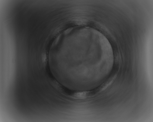 X0000100920084200807151231