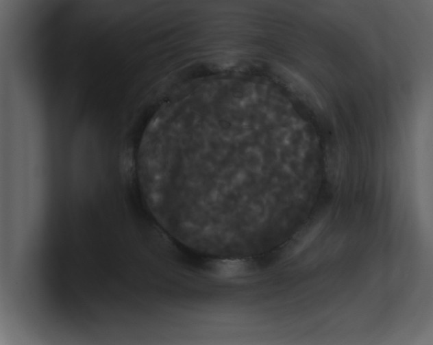 X0000100920085200807151231