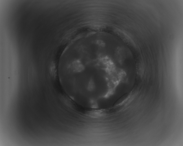 X0000100920086200807151231