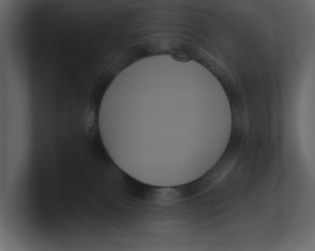 X0000100920087200807151231