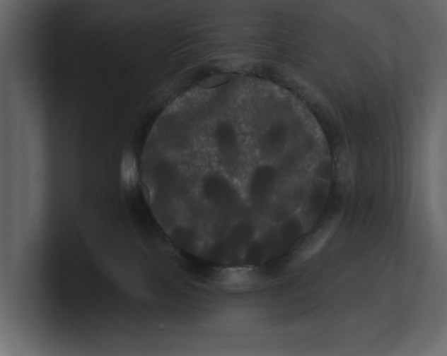 X0000100920089200807151231