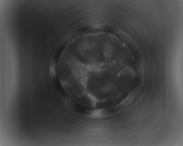 X0000100920090200807151231