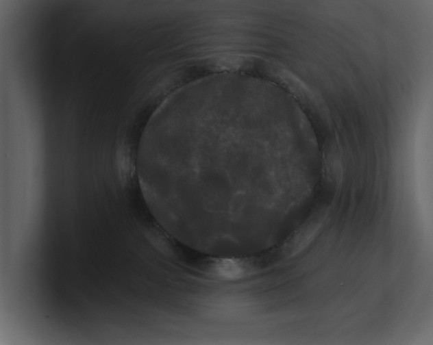 X0000100920091200807151231