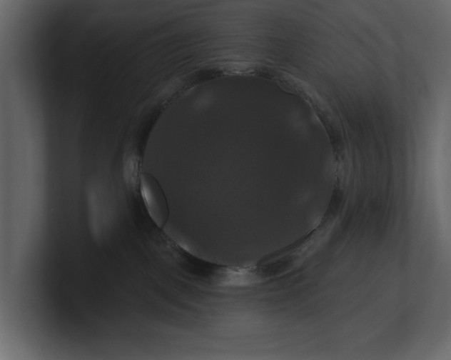 X0000100920093200807151231