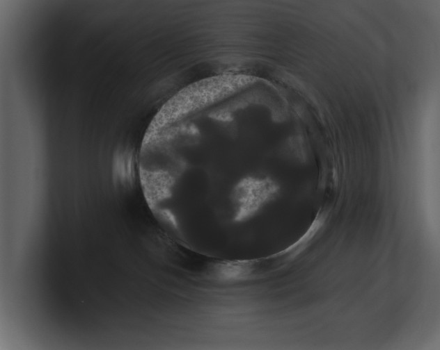 X0000100920094200807151231