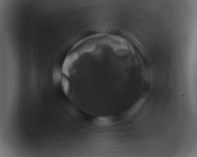 X0000100920095200807151231