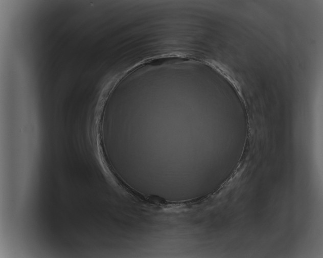 X0000100920097200807151231