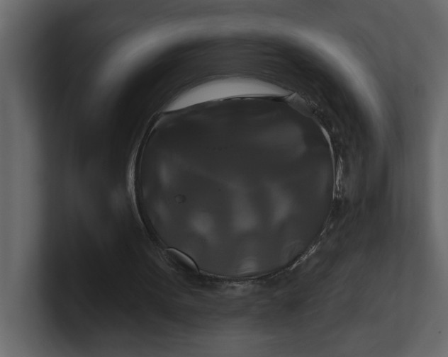 X0000100920099200807151231