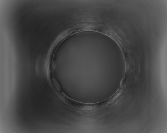 X0000100920101200807151231