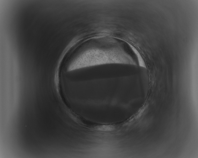 X0000100920102200807151231