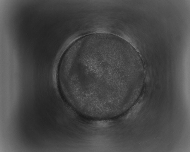 X0000100920103200807151231