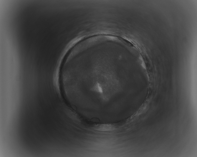 X0000100920104200807151231