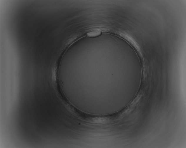 X0000100920105200807151231