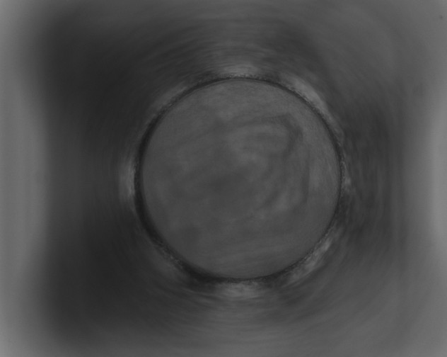 X0000100920106200807151231