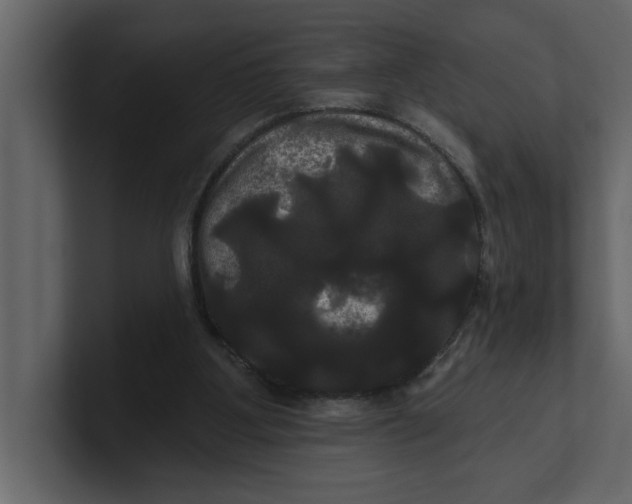 X0000100920107200807151231