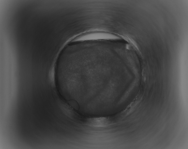 X0000100920108200807151231