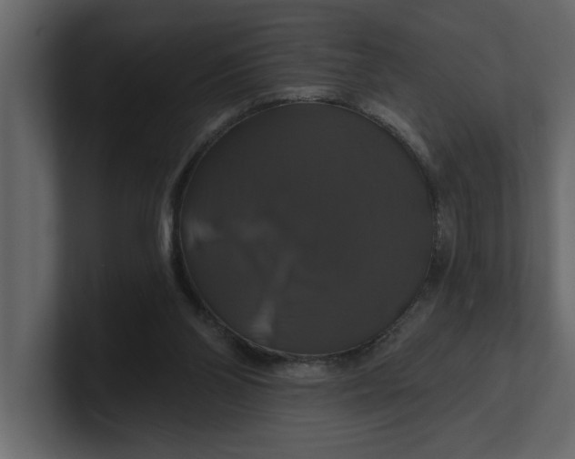 X0000100920110200807151231