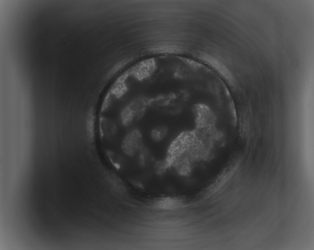 X0000100920111200807151231