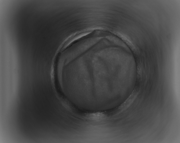 X0000100920112200807151231