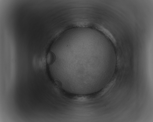 X0000100920113200807151231