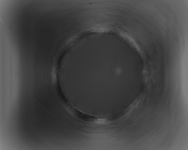 X0000100920114200807151231