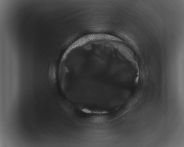 X0000100920115200807151231