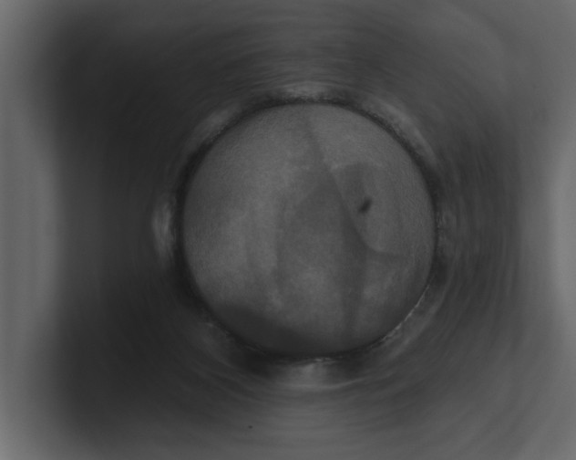 X0000100920116200807151231