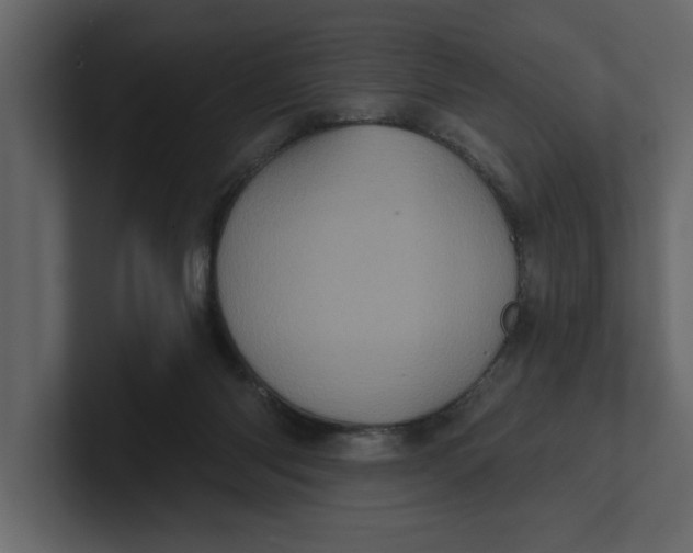 X0000100920118200807151231