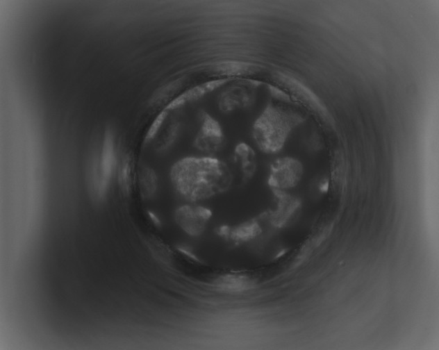 X0000100920119200807151230
