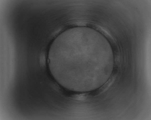 X0000100920120200807151230