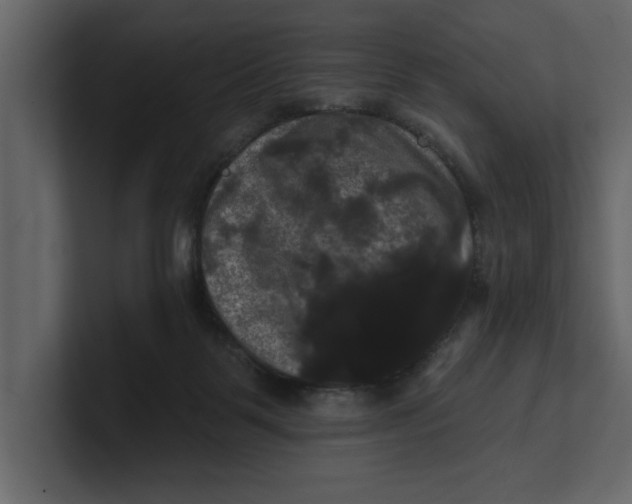 X0000100920123200807151230