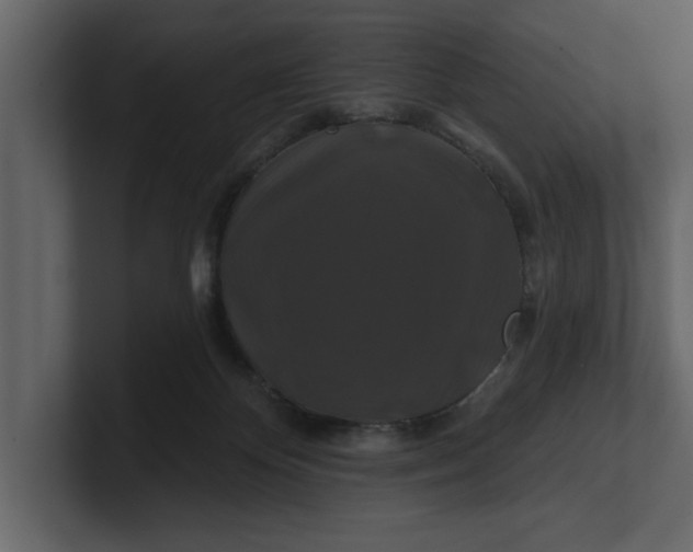 X0000100920124200807151230